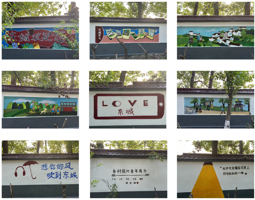 江苏建院“有为”团队:乡振IP文化破圈,打造乡村文化振兴新范式