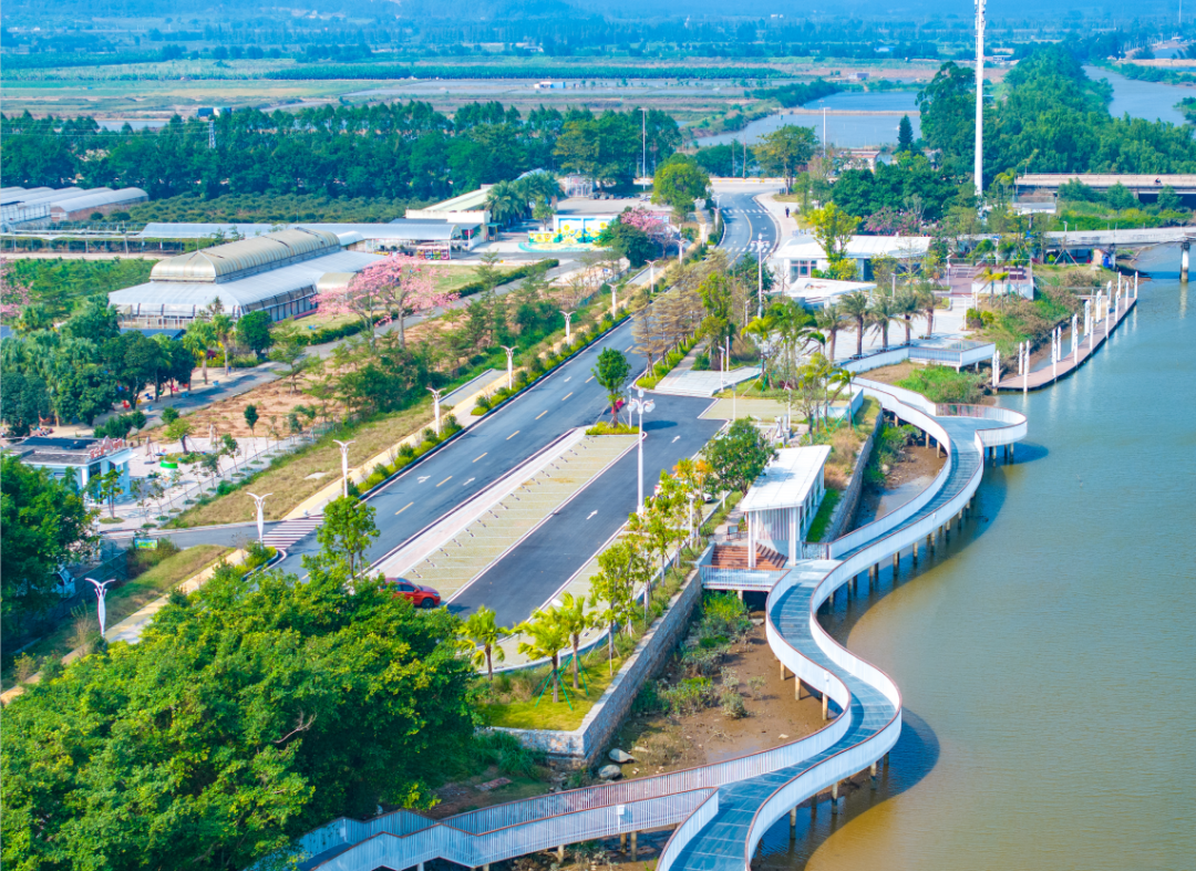 江门提出深圳江门合作“在银湖湾滨海新区加快规划建设深江经济合作区” 江门市银湖湾滨海新区管理委员会供图