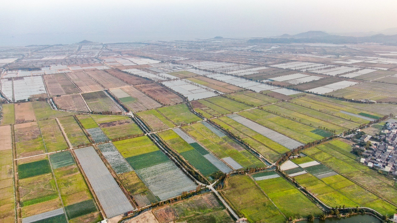 都斛镇连片含硒量高的优质田地