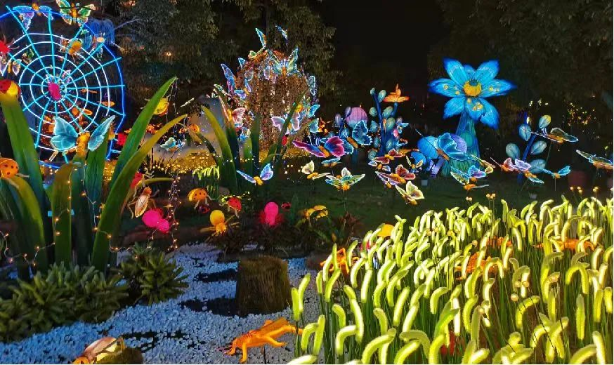 2024森山健康小镇沉浸式光影夜游乐园震撼来袭