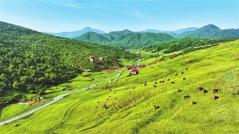 康乐草长沟 新甘肃·甘肃日报通讯员 张维吉