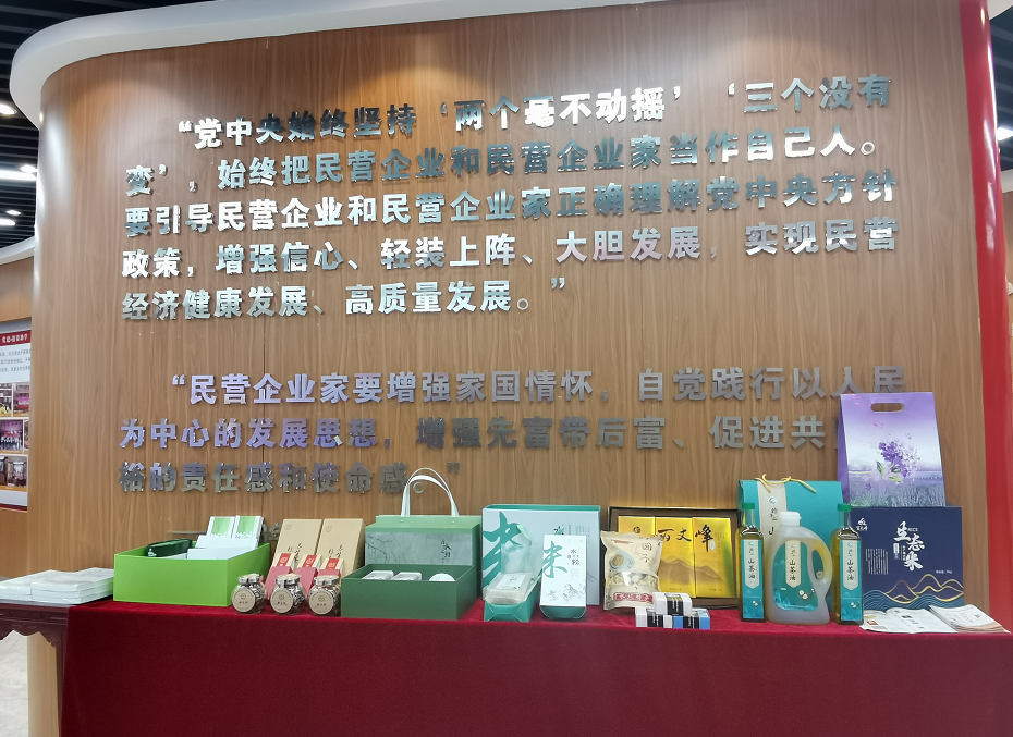 【不忘来时路 奋进新征程】凝聚民营力量 共绘渝水新画卷