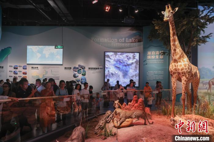 贝林捐赠动物标本暨鄱阳湖自然生态展在江西省博物馆开展