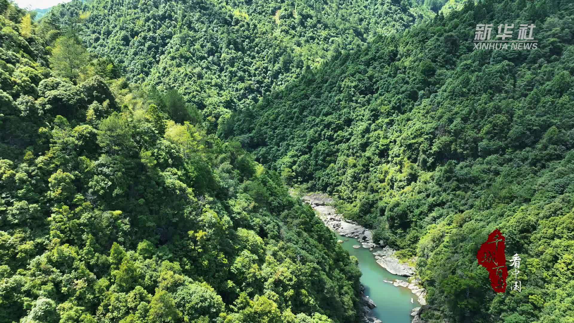 千城百县看中国｜福建屏南：芳草廊桥隐山林 一河碧水映从容