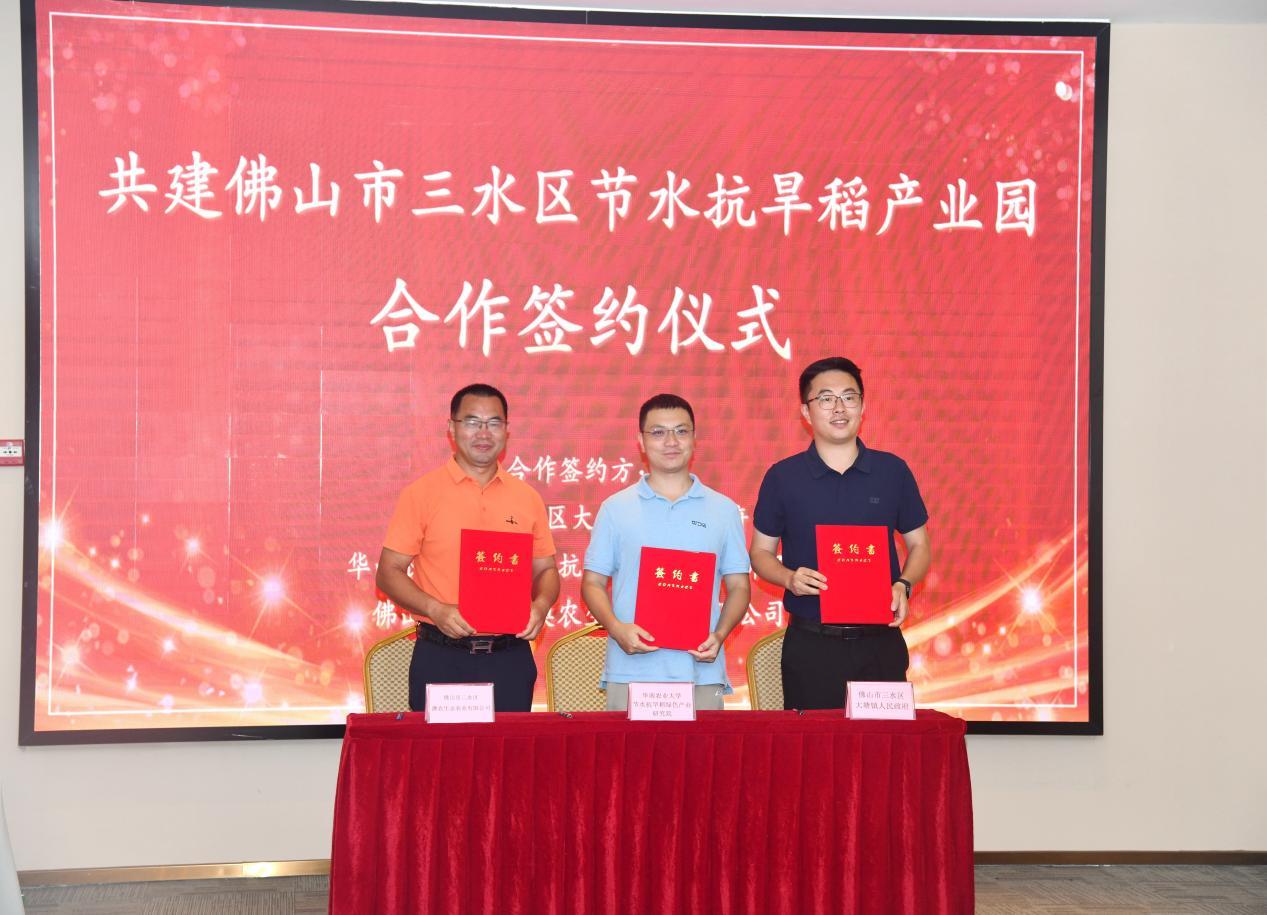 图为:佛山市三水区节水抗旱稻产业园成立。(华南农业大学宣传部供)