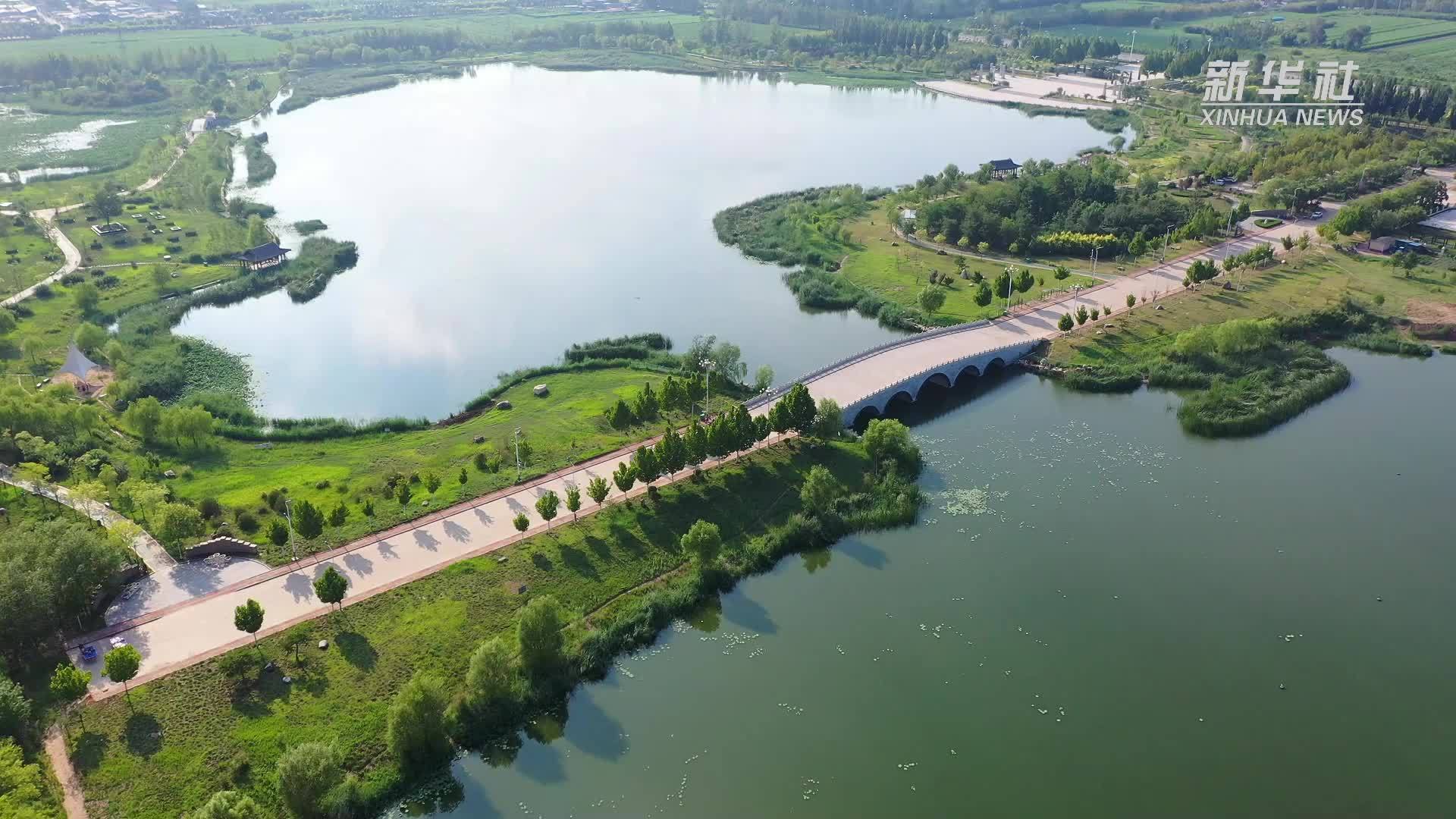 千城胜景｜河北新河：夏日湿地美如画