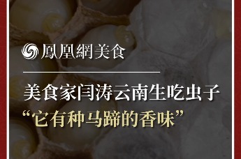 美食家闫涛云南生吃虫子：它有种马蹄的香味