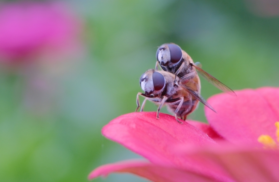探索微观世界 感受别样风光