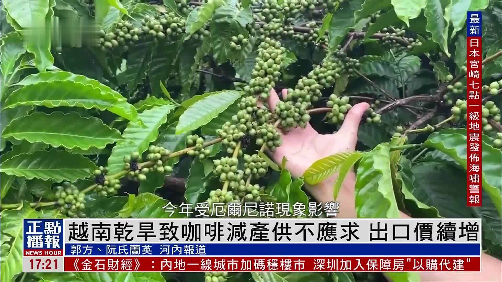 越南干旱致咖啡减产供不应求 出口价续增