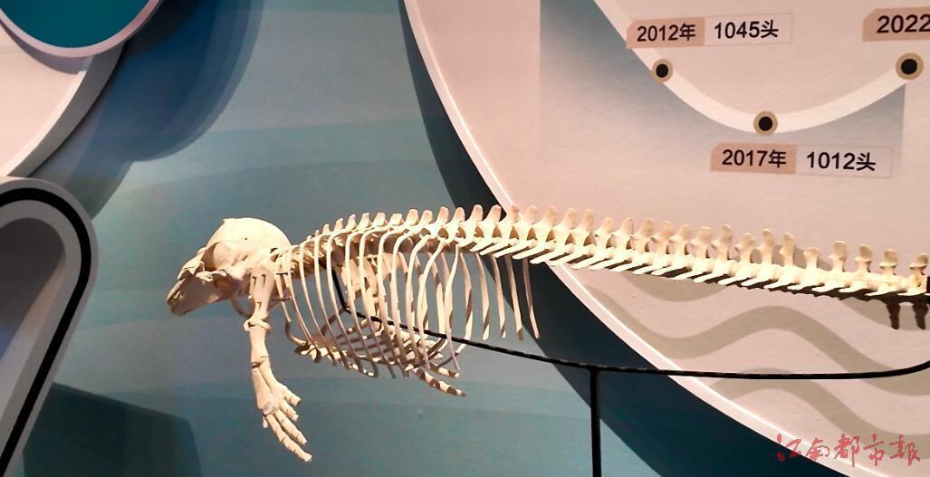 江西省博物馆再上“王炸” 推出江西规模最大自然主题展