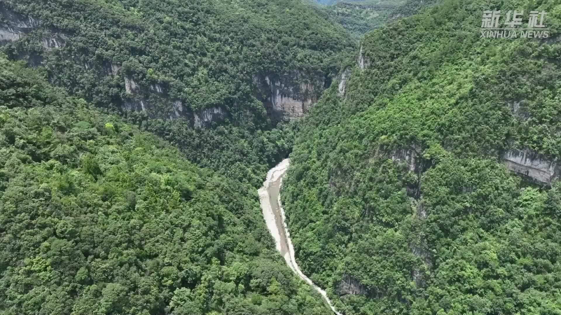 贵州桐梓：凉爽漂流带热“避暑经济”