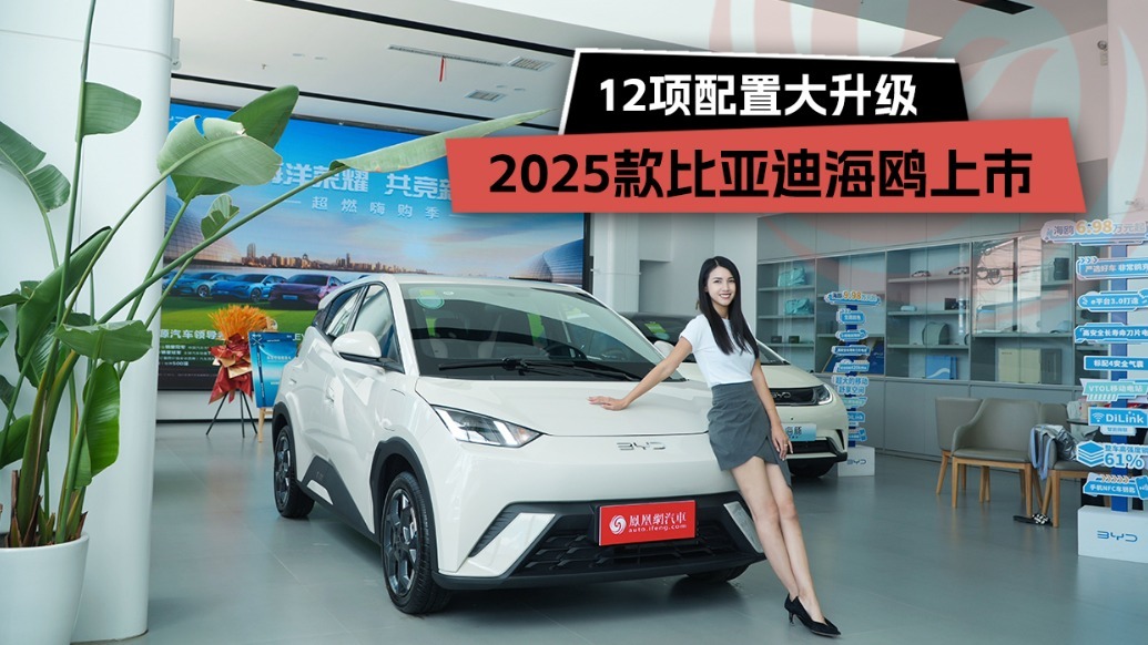 12项配置大升级,2025款比亚迪海鸥上市