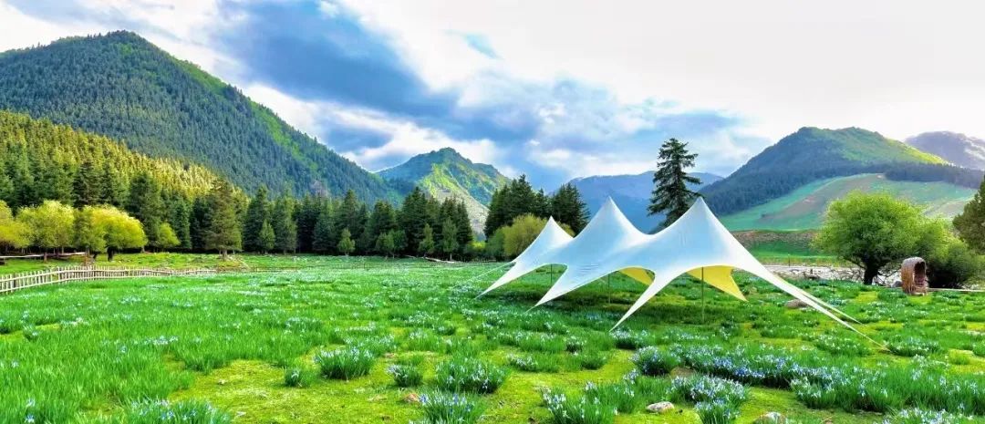 武威这几个避暑旅游目的地　你真的不去看看吗