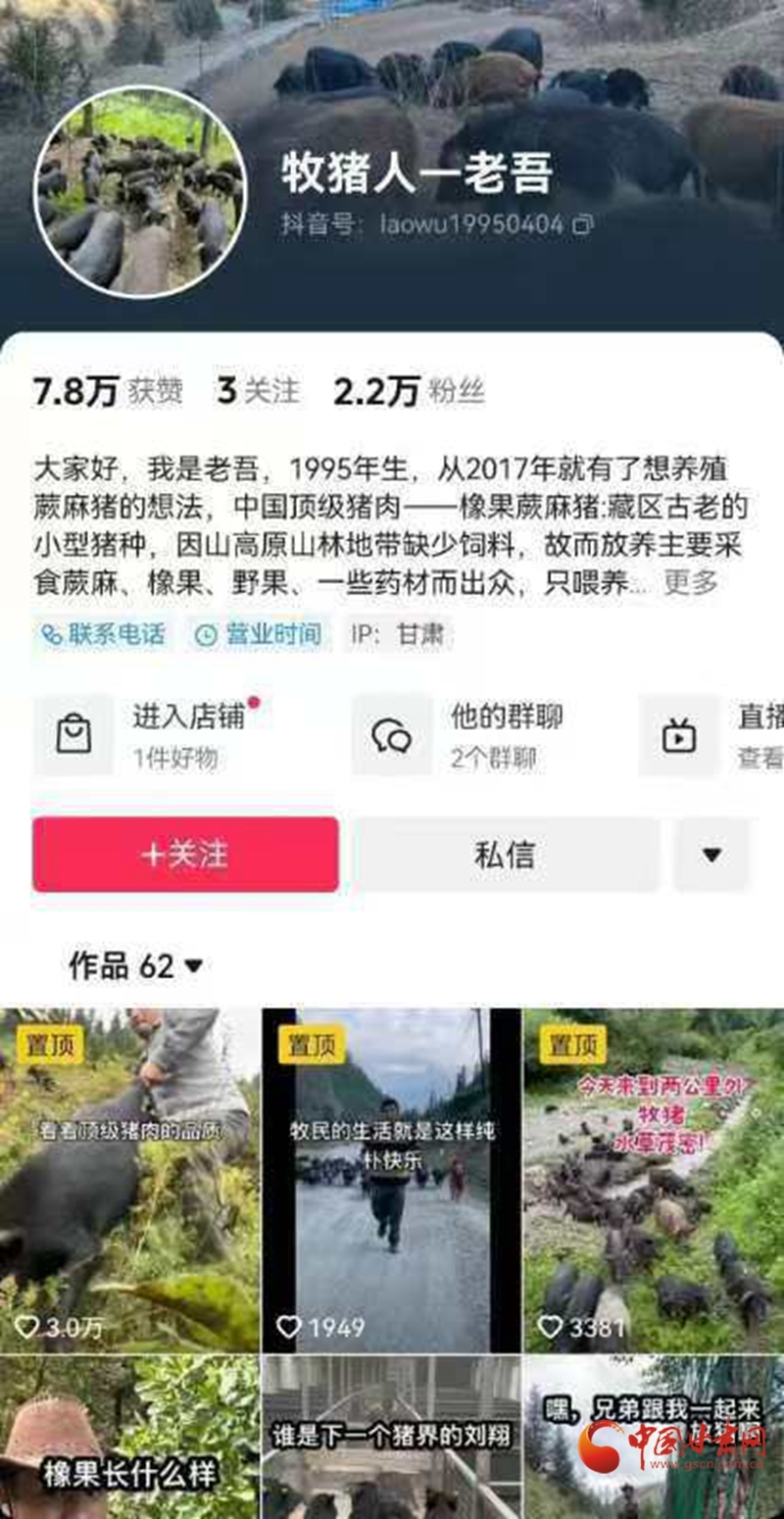 猪王带领群猪每天运动十几小时　95后新农人：让你火