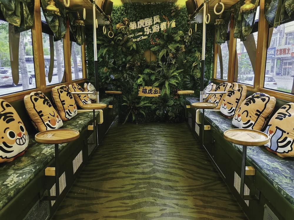54路有轨电车文旅东北虎专列内景。