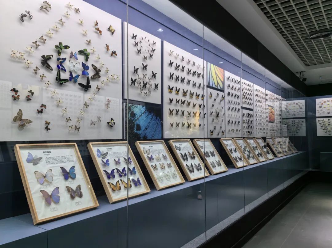 上新啦，文创！我们用最新打开方式带你游览龙博！_凤凰网