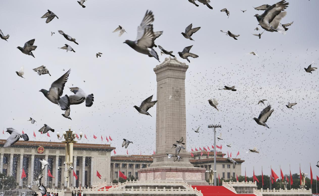 2021年7月1日上午，庆祝中国共产党成立100周年大会在北京天安门广场隆重举行。庆祝大会现场和平鸽展翅高飞。新华社记者 孙非 摄