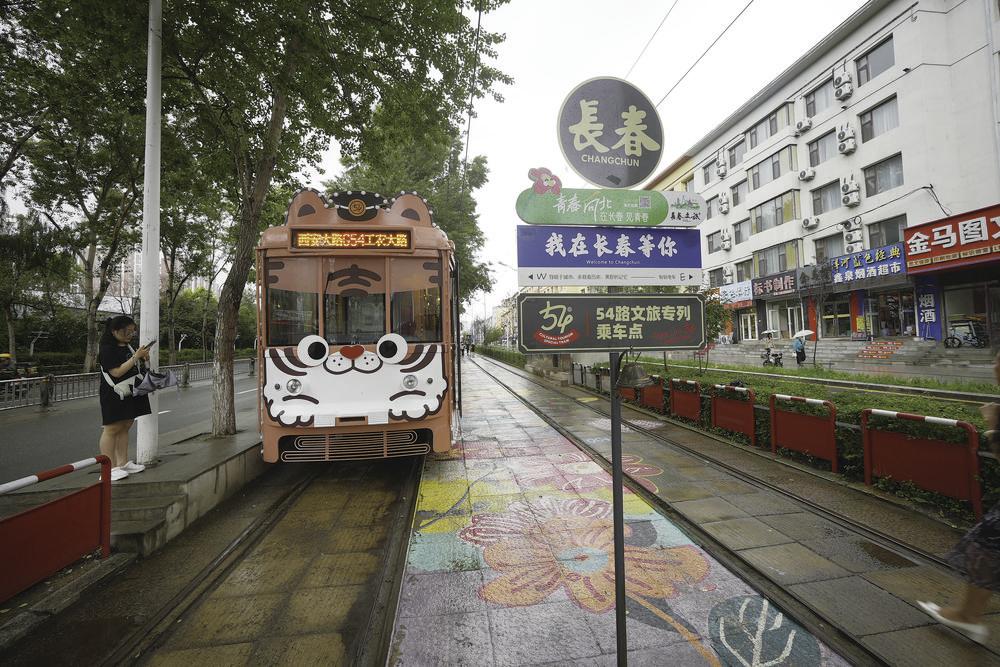 54路有轨电车文旅东北虎专列备受游客青睐。
