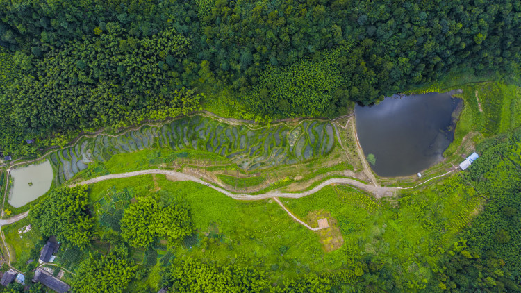 梁平区竹山镇猎神村通过乡村小微湿地生态修复建成山地梯塘小微湿地群。