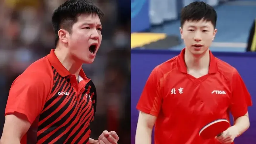 奥运冠军许昕：樊振东已经做到100%了，但只能到马龙的85%左右