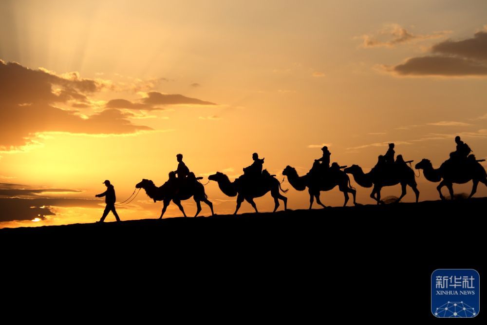 游客骑骆驼赏晨景　鸣沙山月牙泉人气爆棚