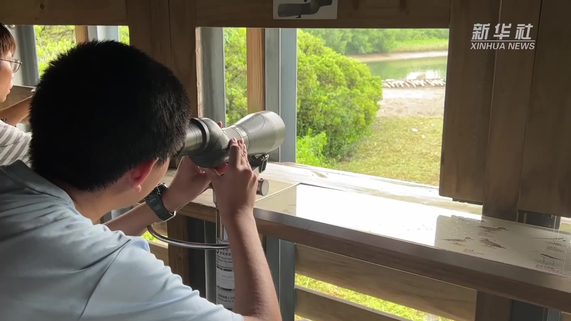 走，去郊游！∣ 探访城市中的自然绿洲香港湿地公园