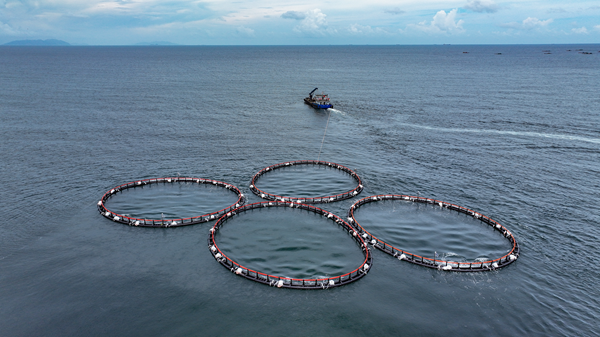 江门市加快建设海洋强市，累计建成投放多个重力式深水网箱