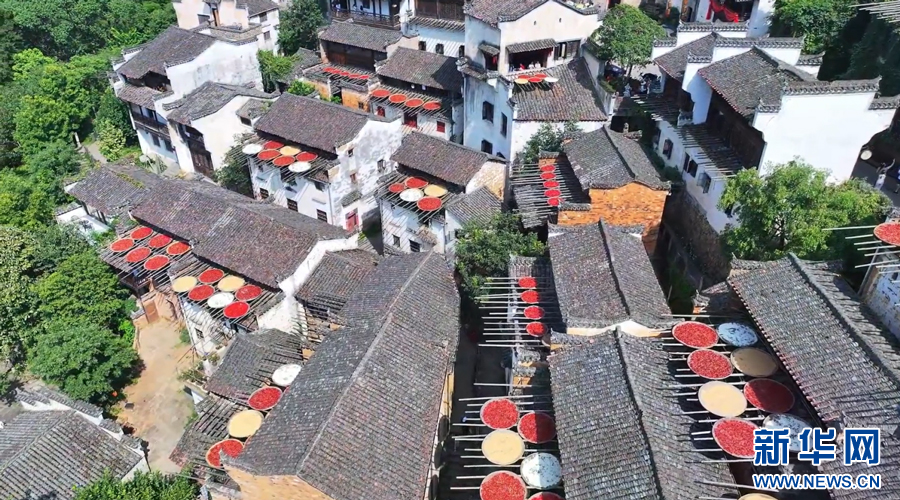 篁岭古村独特的“晒秋”农俗景观。新华网发