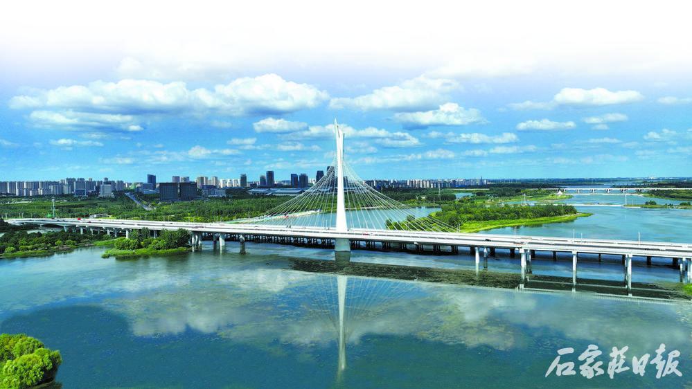 初秋，复兴大街滹沱河特大桥在蓝天白云和清水碧波的映衬下显得格外靓丽。