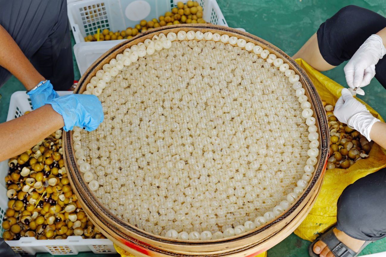 纯手工剥壳取肉，是手工制作桂圆肉的第一步