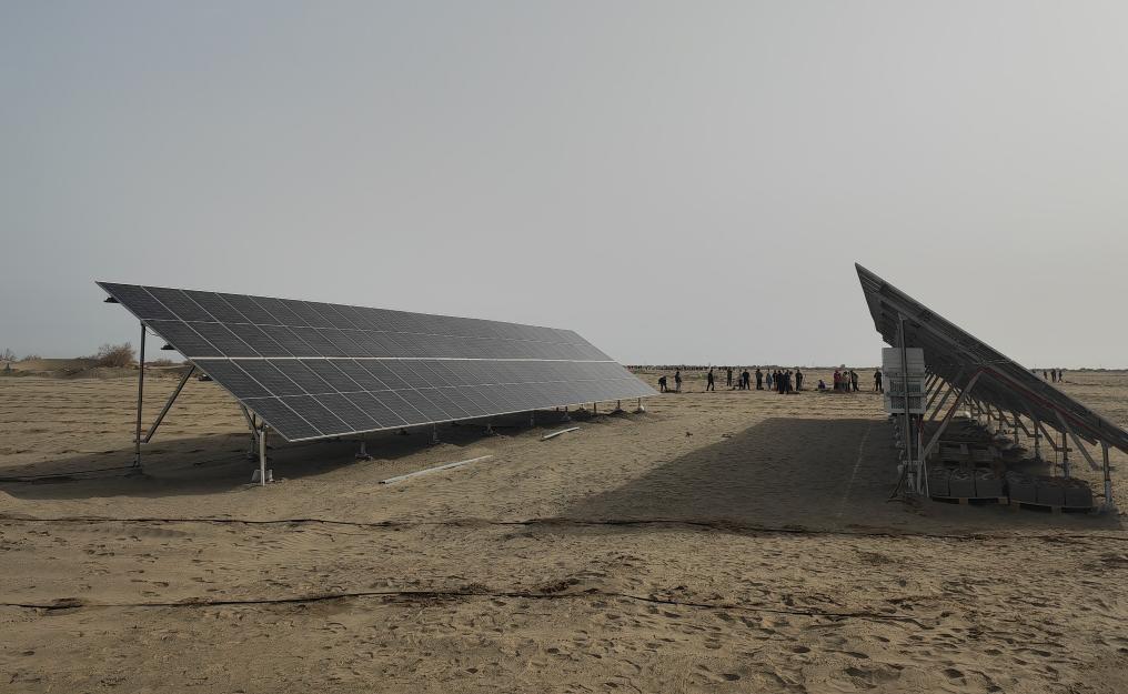 3月23日拍摄的新疆阿克苏地区沙雅县一光伏治沙项目。新华社记者 张晓龙 摄