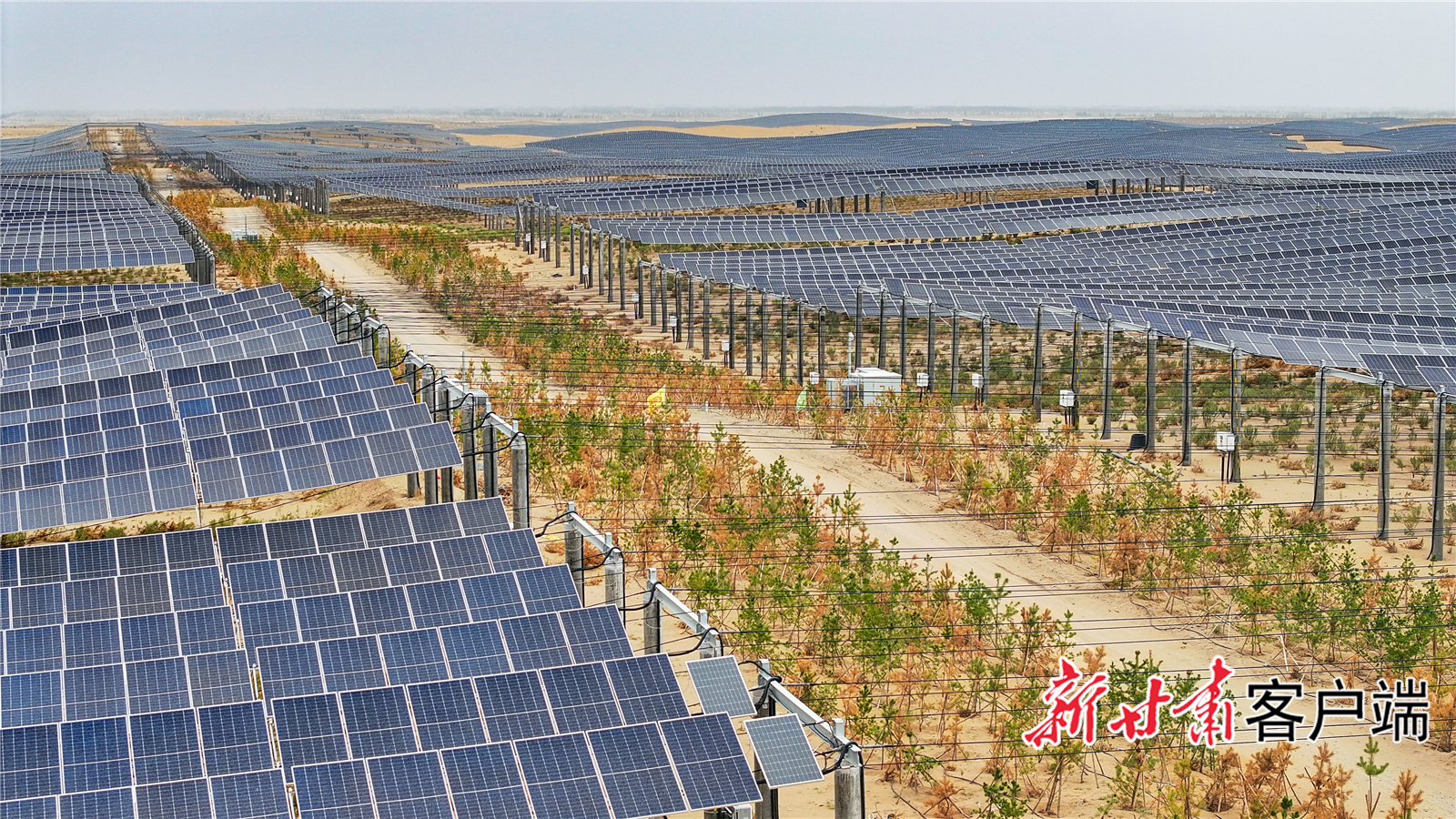 武威市凉州区九墩滩光伏治沙示范园区　新甘肃&middot;甘肃日报记者　丁凯　摄