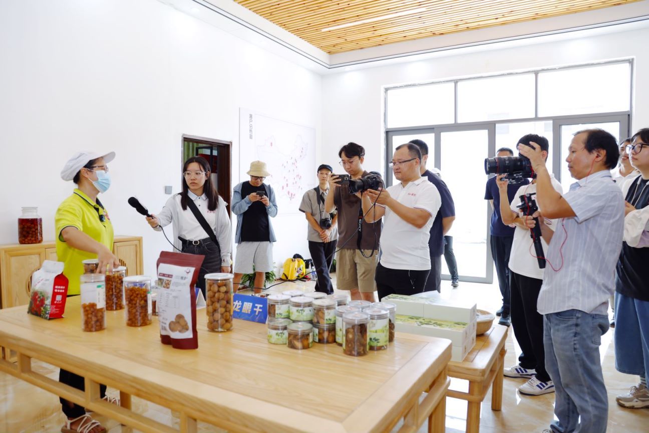 2024高州龙眼丰收季媒体采风团走进龙眼加工企业采访