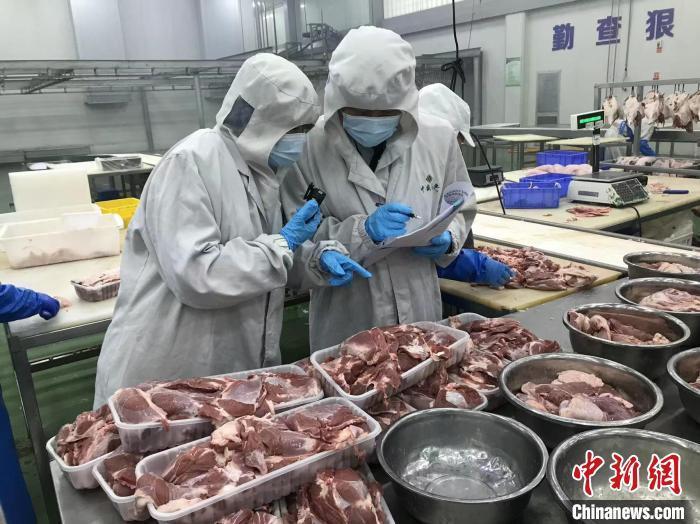 图为兰州海关所属平凉海关关员对出口冻羊肉产品实施检验检疫(资料图)　周龙　摄