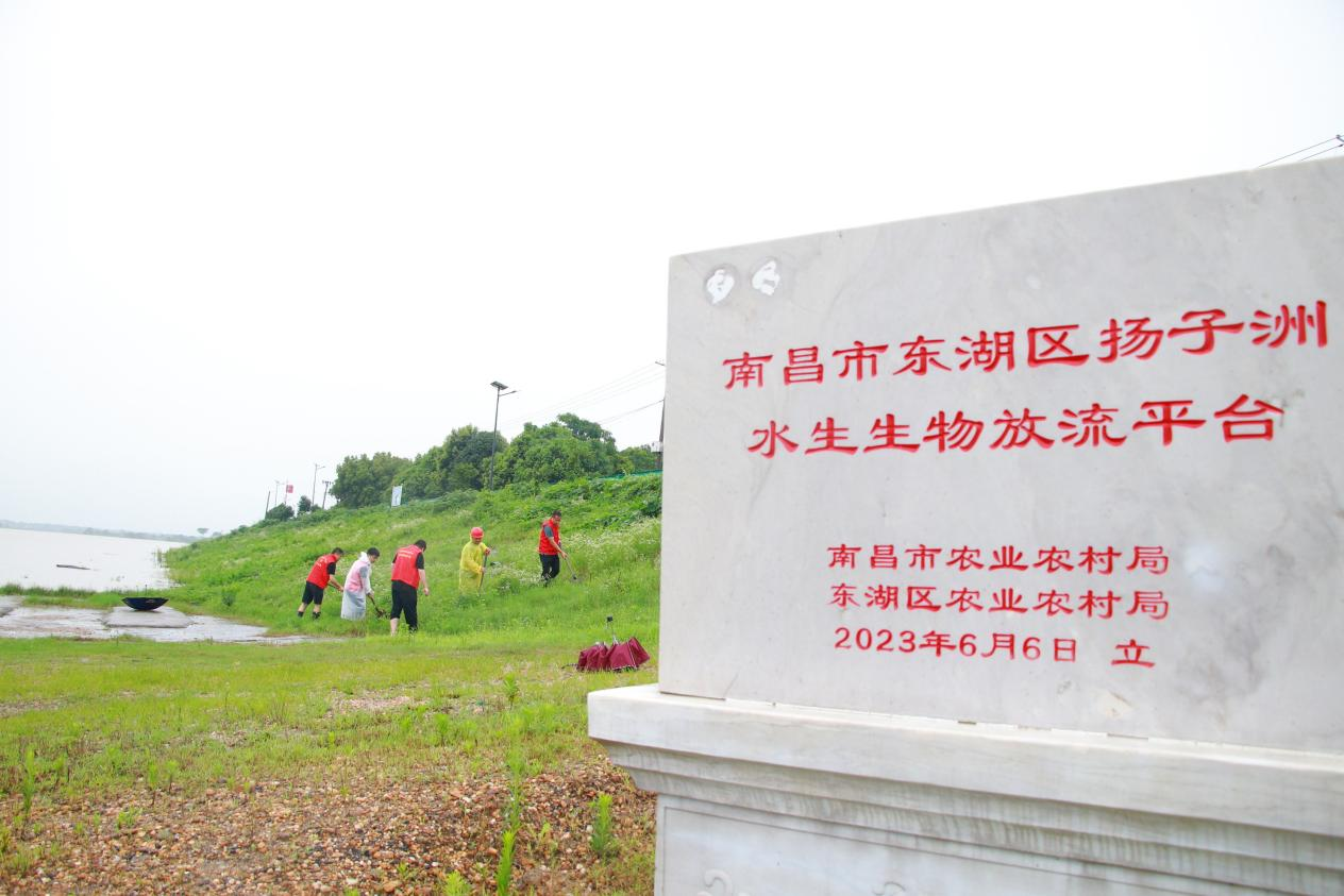 ▲渔业村党员志愿者在赣江边巡河