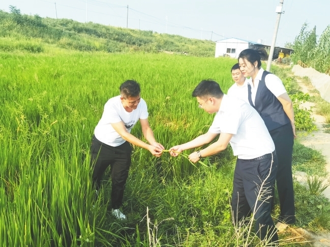 现场了解旱情，为农业企业送去抗旱“及时雨”