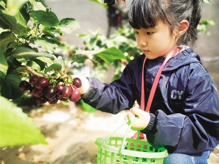 走进自然风光乐享清凉一夏