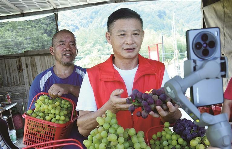 德兴：直播带货 助农增收（图）_凤凰网