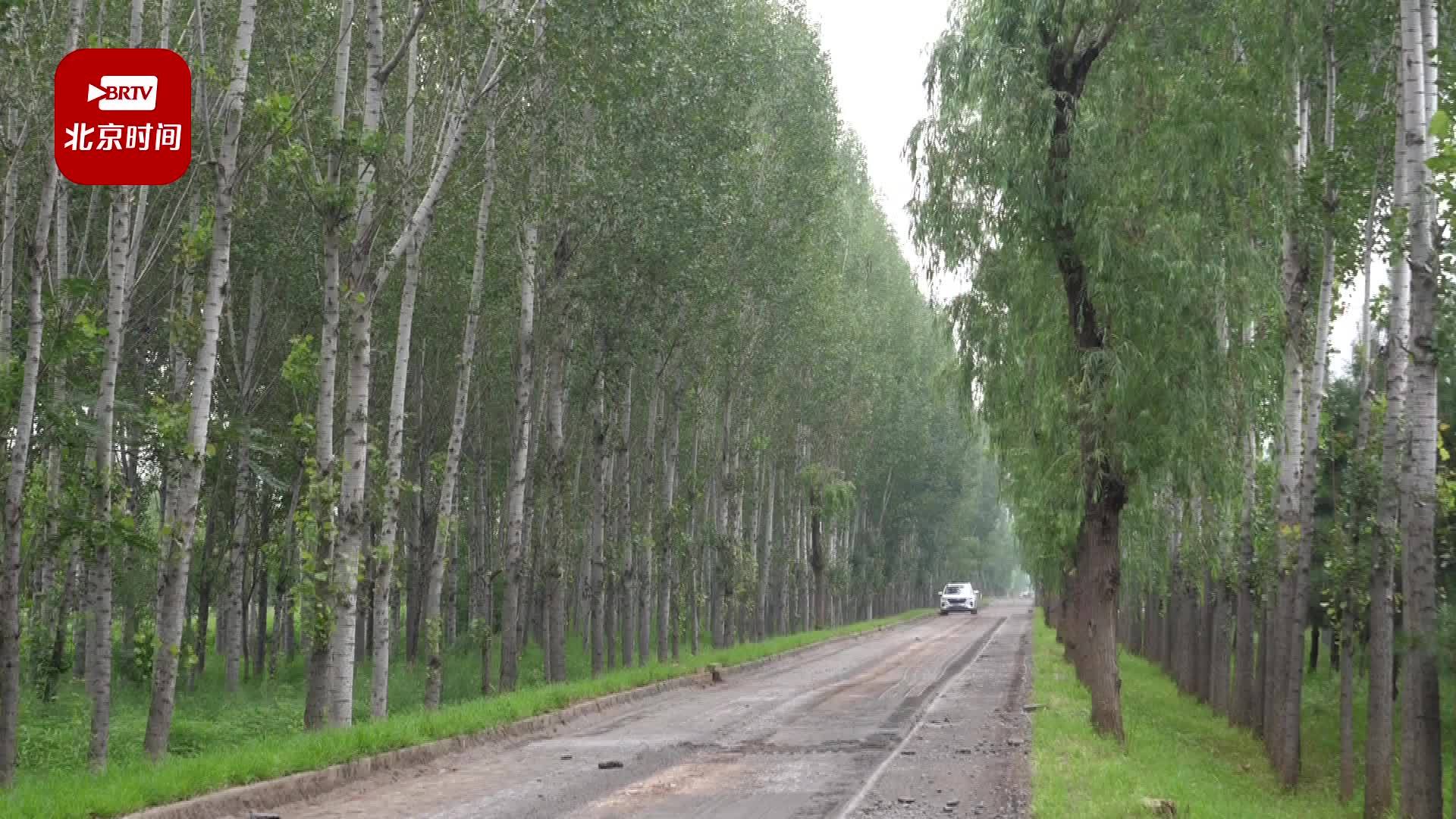 顺义区2024年乡村公路建设工程开工