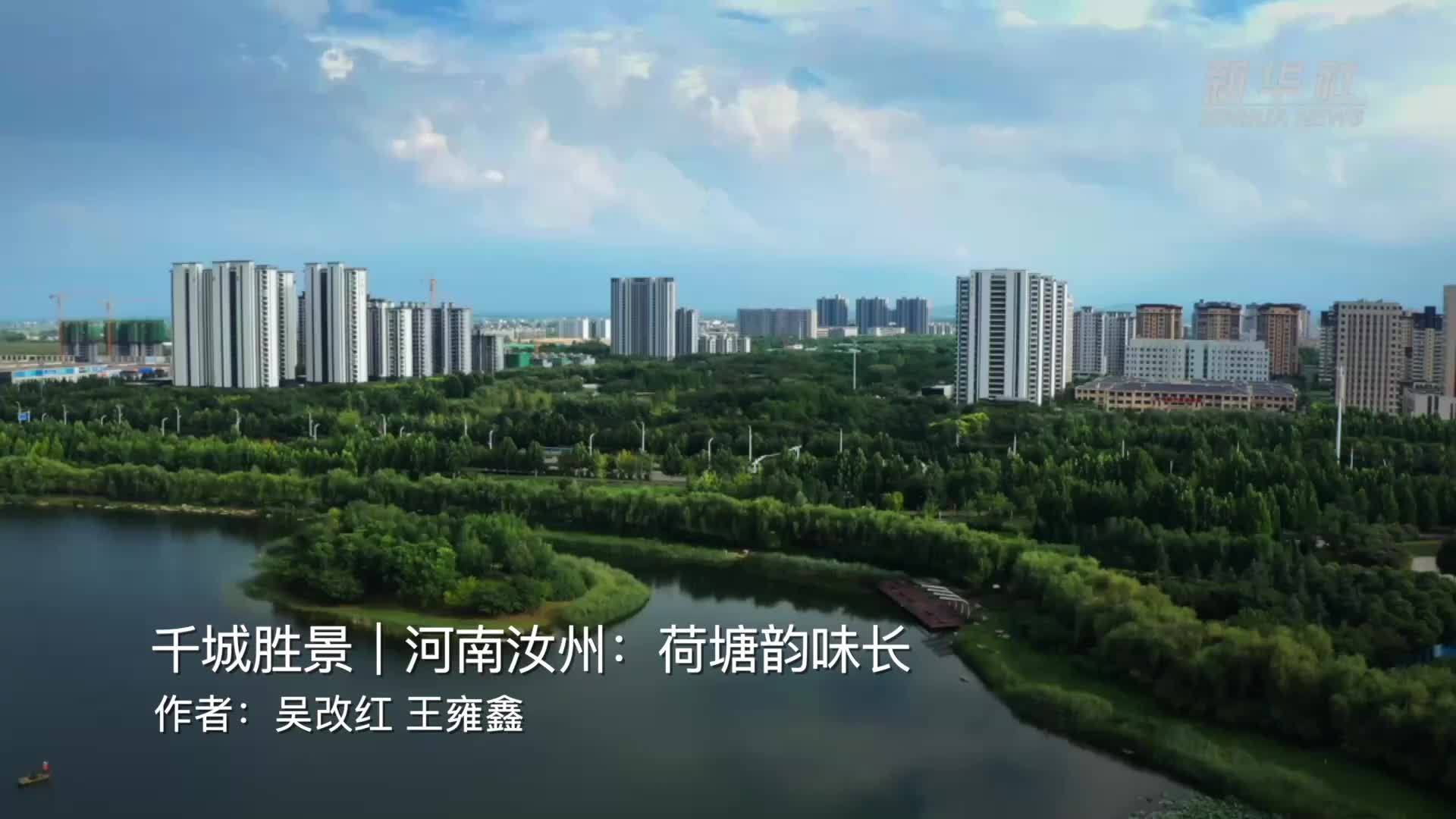 千城胜景｜河南汝州：荷塘韵味长