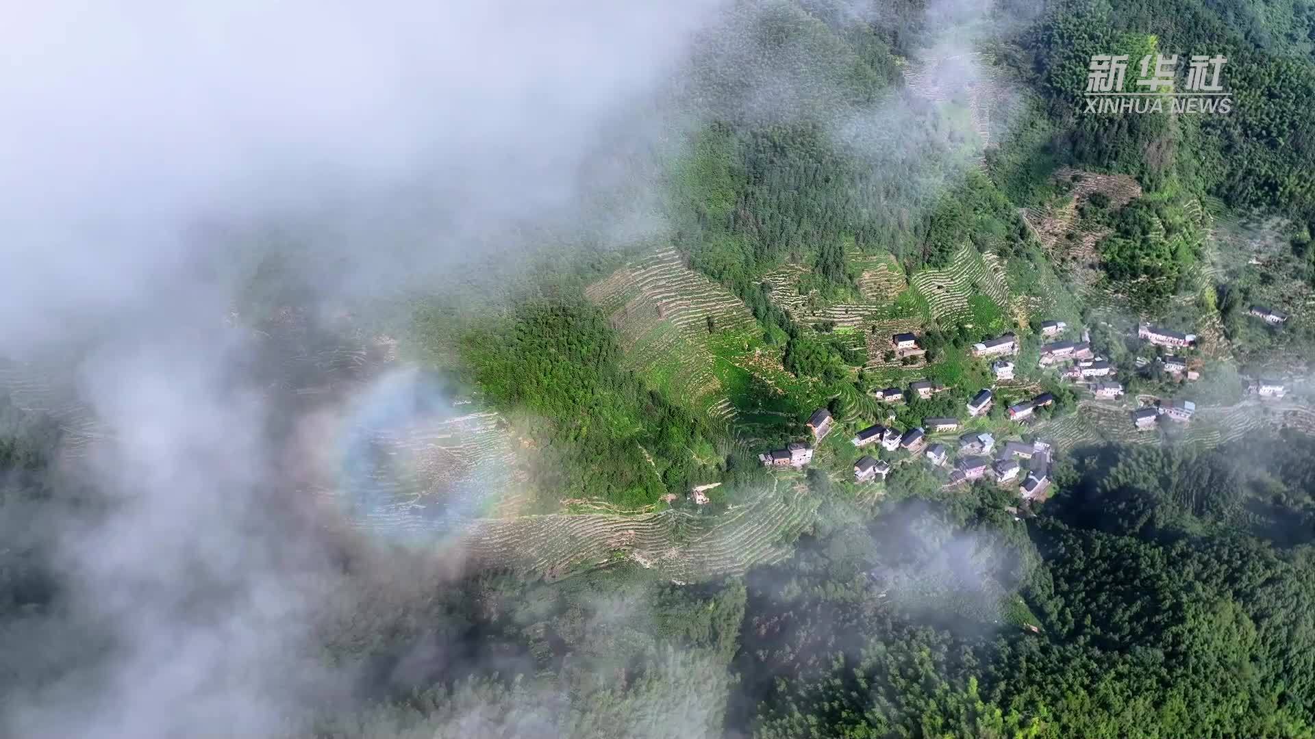 新华全媒+｜皖浙共护新安江