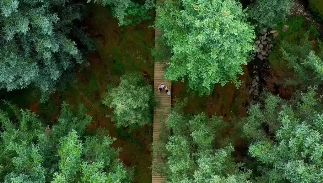 武威这几个避暑旅游目的地　你真的不去看看吗