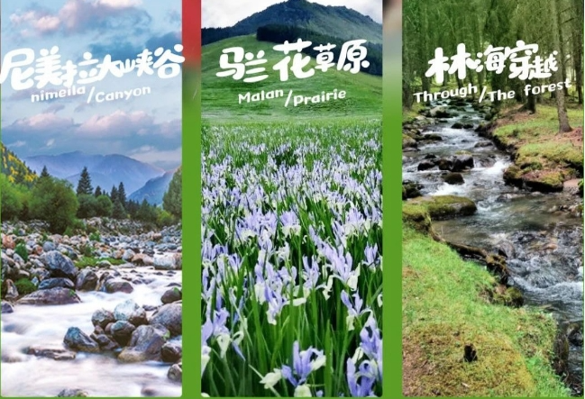 武威这几个避暑旅游目的地　你真的不去看看吗