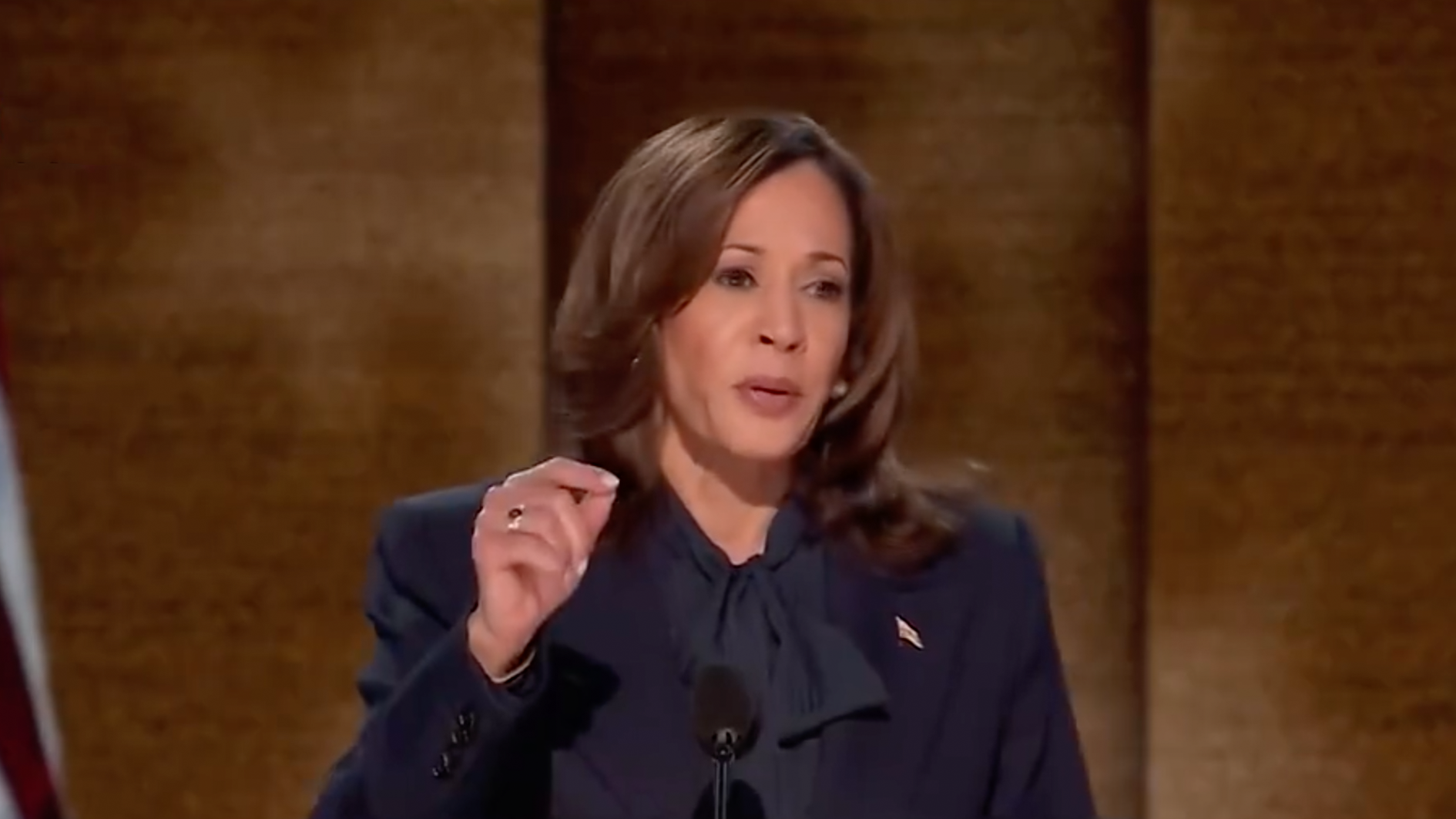 哈里斯压轴登场全代会：正式接受民主党总统候选人提名