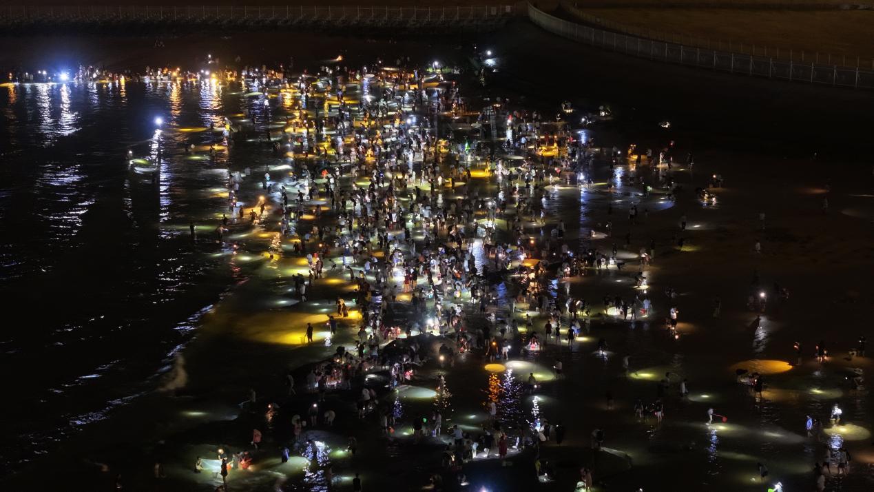 8月19日，夜幕下的灯塔景区，聚集着搜寻面条鱼的游客。李磊 摄