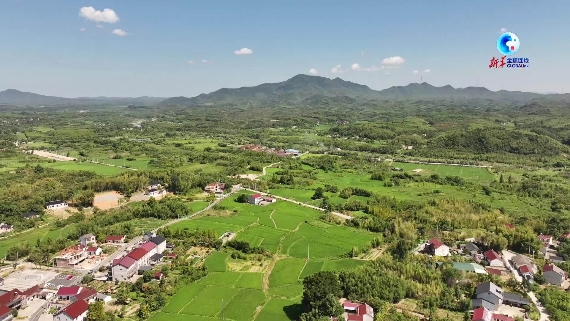 全球连线｜非洲留学生眼中的中国乡村田园之美