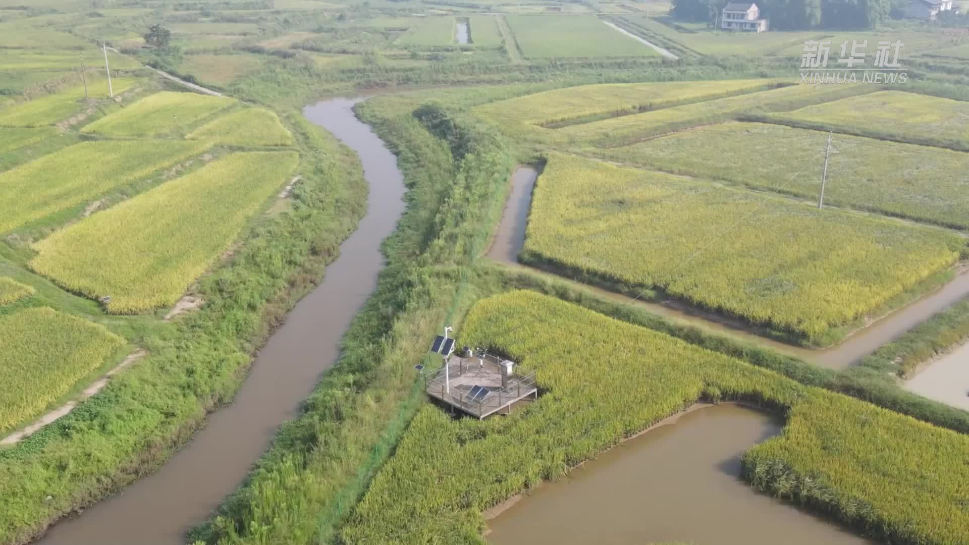 四川广安：高标准打造“天府粮仓”