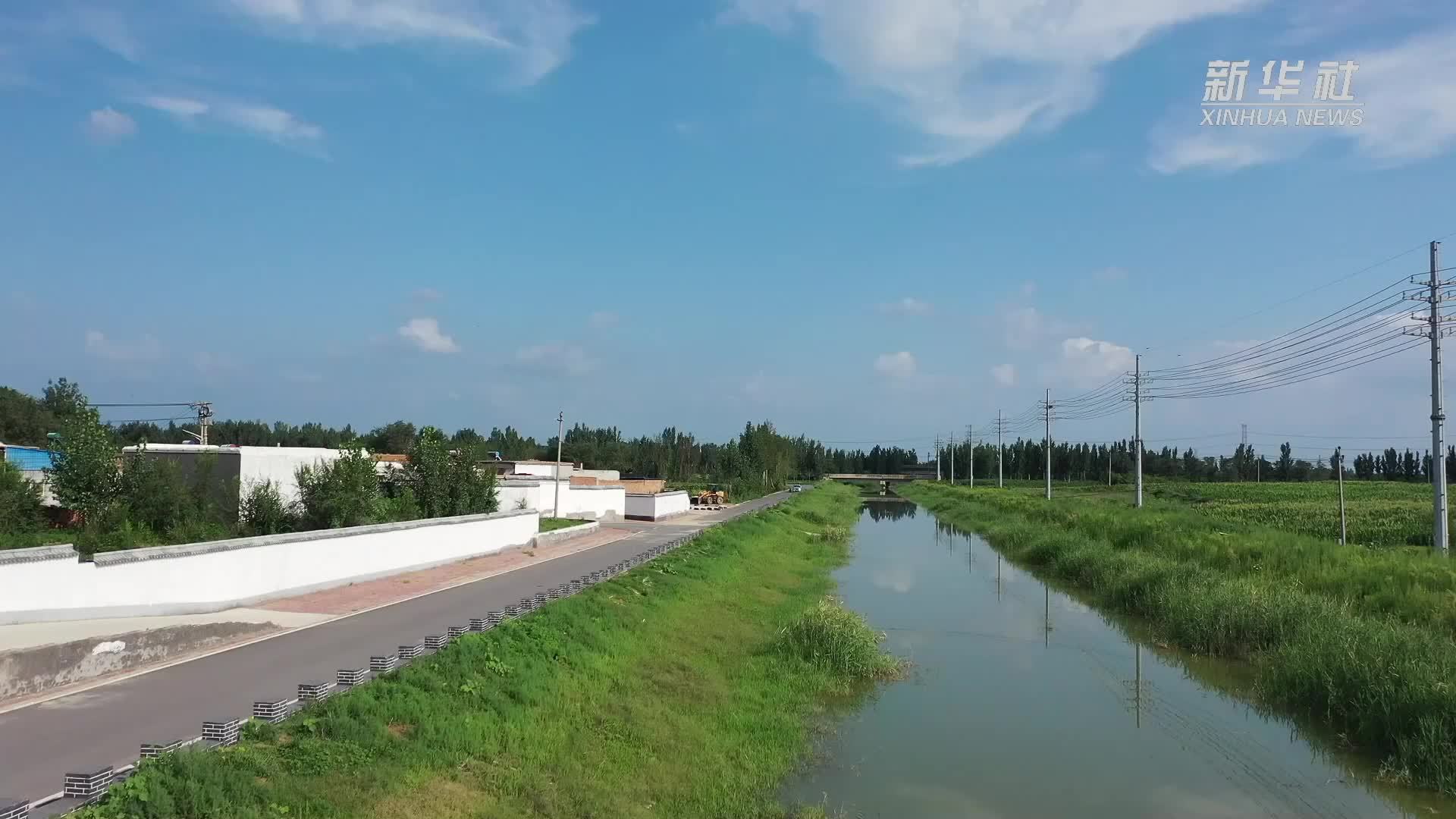 河北新河：水系连通绘新景 水美乡村入画来