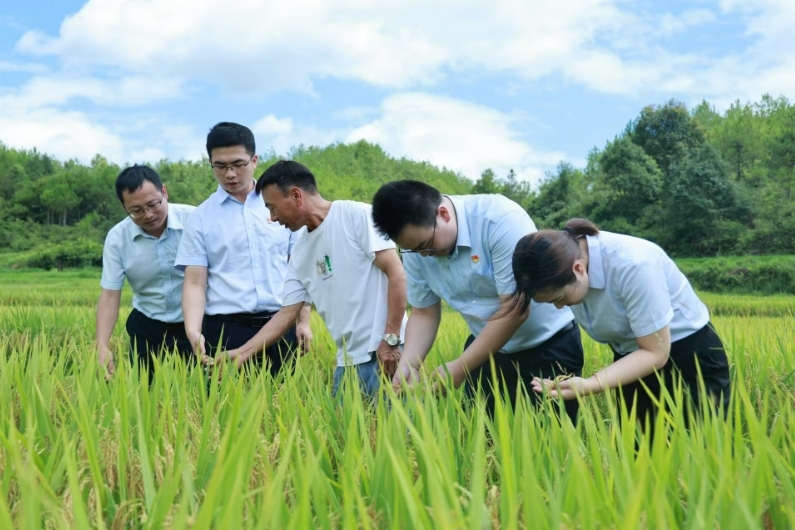 江西赣州市分行投稿组织青年员工深入基层调研