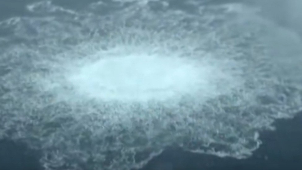 波兰强硬回应指控，德国感到吃惊，但仍决定避免争端升级